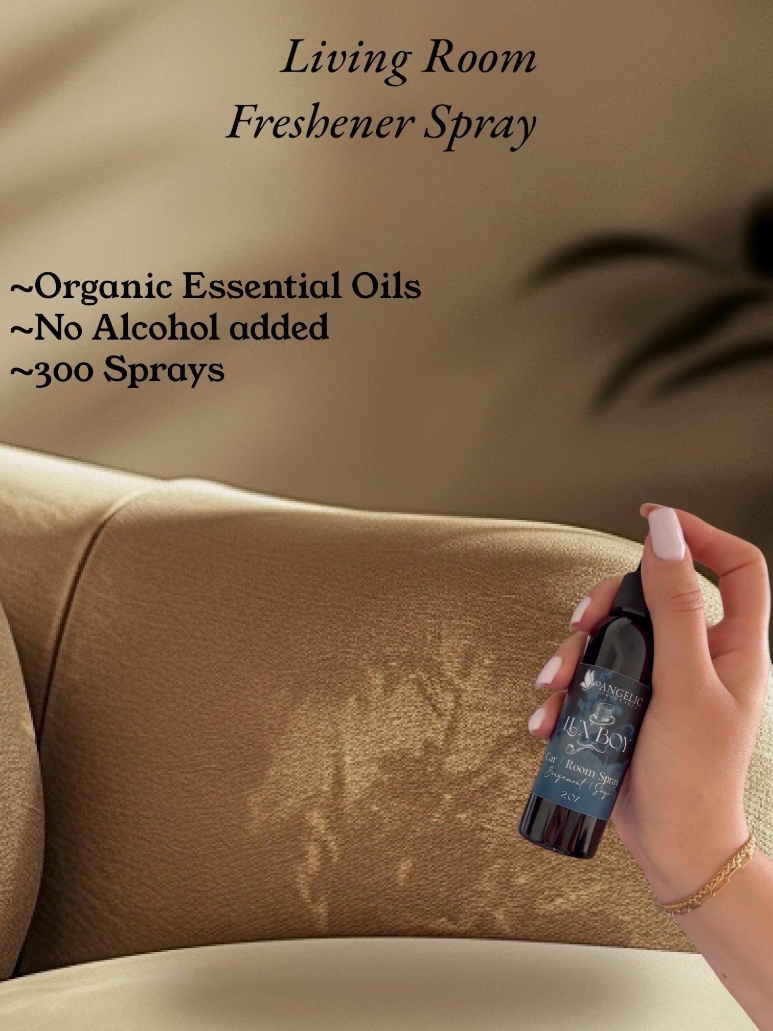 Lux Boy Room & Car Spray 2 oz - Angelic Fragrance 
